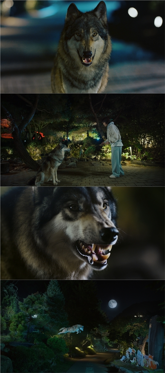 개를 늑대로…KBS, 드라마서 AI 활용한 동물 연출 눈길