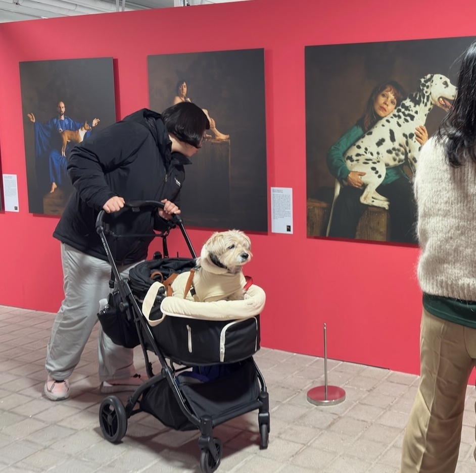 [냥집사 박기자가 간다] 댕냥위키 같은 사진전 ‘캣츠앤독스’… 반려견과 함께 감상해요