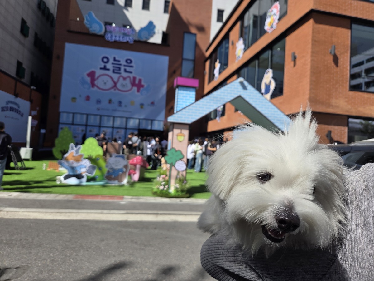 [현장] 오늘은 동물보호의 날… ‘1004 빌리지’ 명예시민증 받아볼까